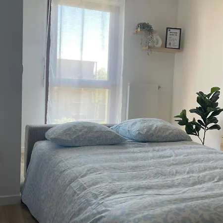 Cocon Paris Stade De France Apartment